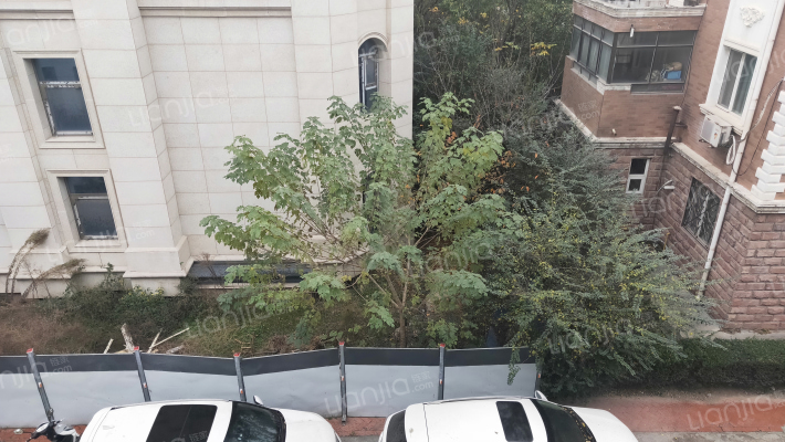 枫叶别墅苑外景图