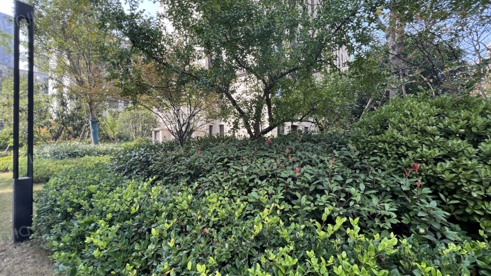 金辉优步花园外景图