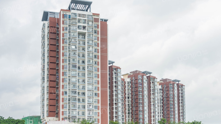 劲嘉龙园印象外景图