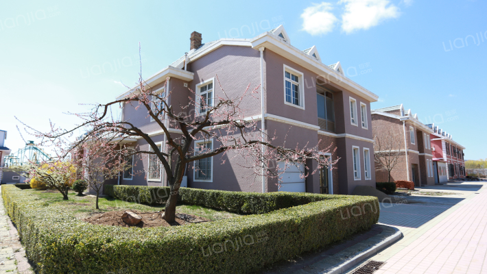 天鹅湖度假村外景图