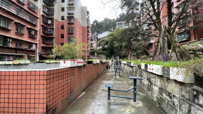 五柳街31号外景图