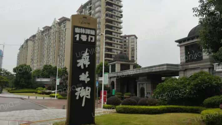 中信森林湖香樟林外景图