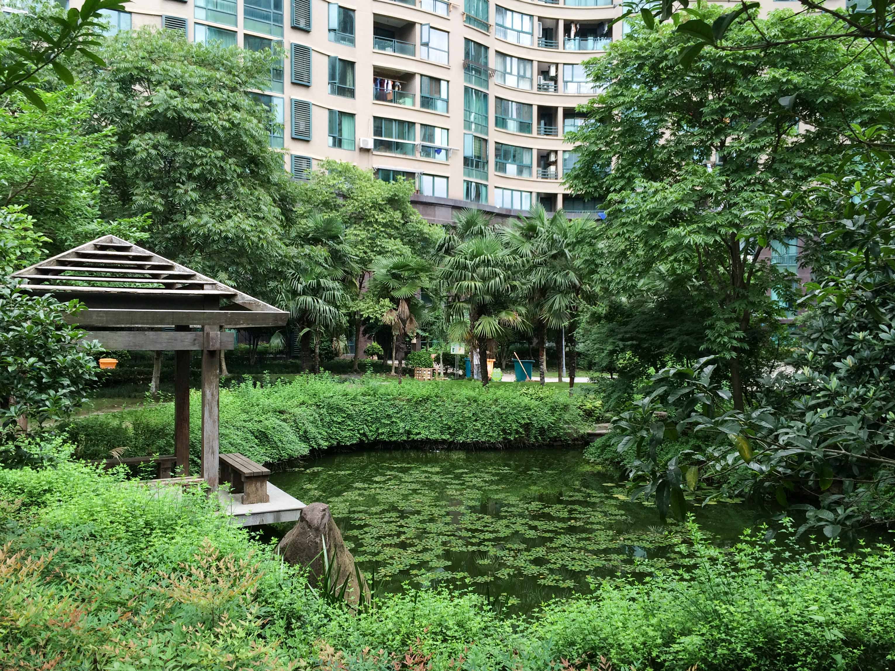 Chunjiang Shidai compound photo 22