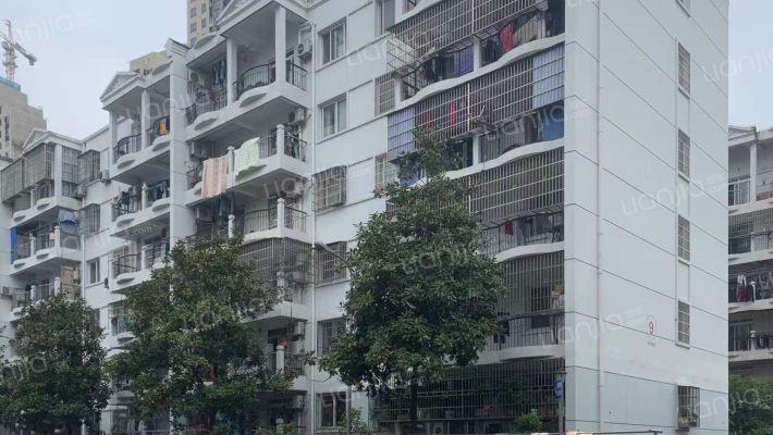 万家湖社区B区外景图