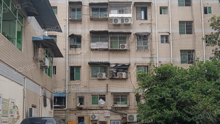 东方综合楼外景图