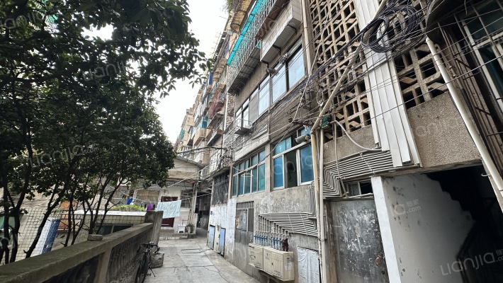 君子巷65号外景图