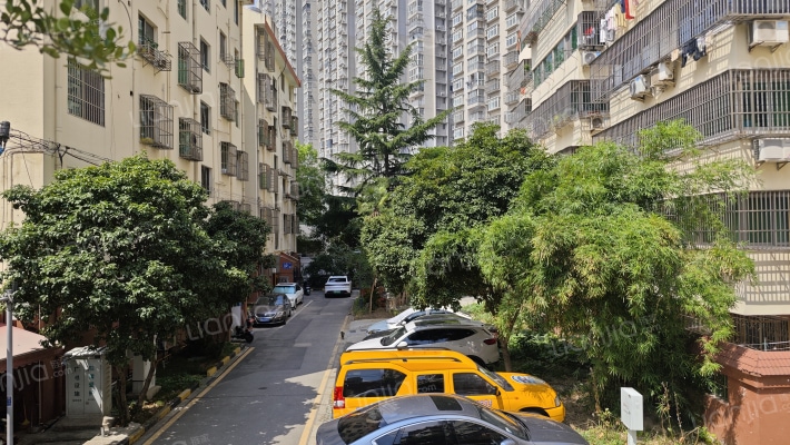 沁园新村A区外景图