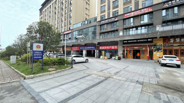 悦龙国际城外景图