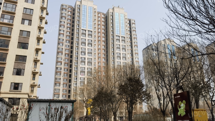 龙强印象外景图