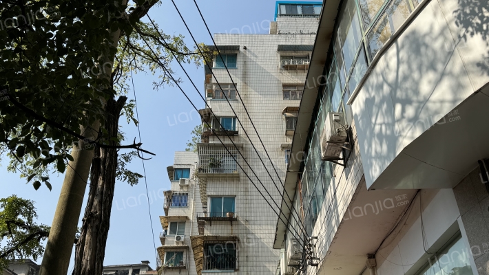 八鸽岩路117号外景图