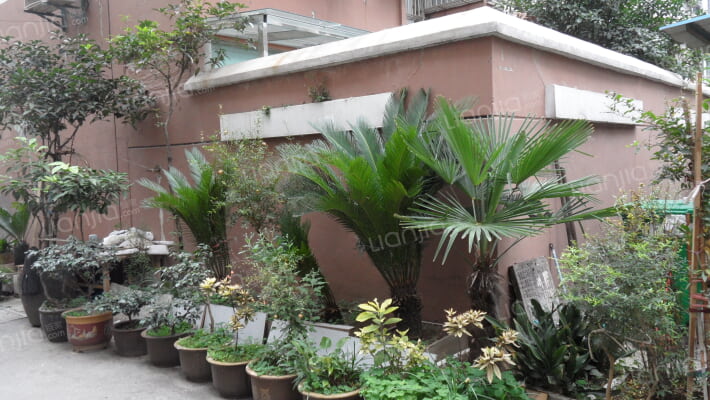 大石桥小区外景图