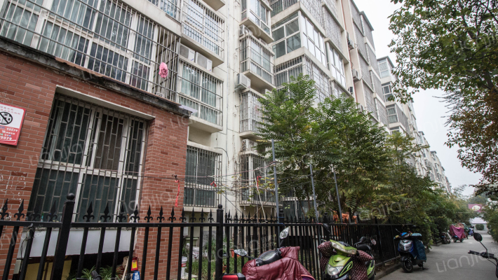 紫荆阳光地带外景图