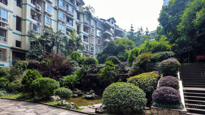 天一桂湖花源外景图