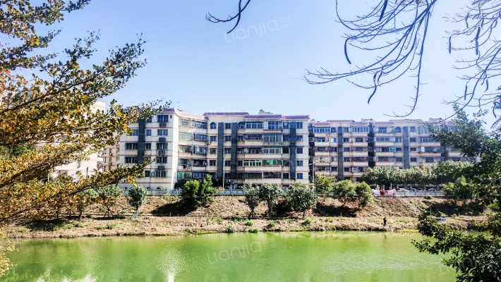 鸿梅花园外景图