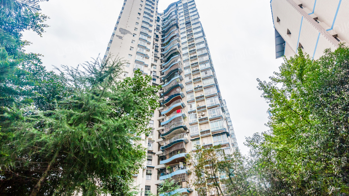 远林雅宇豪苑外景图