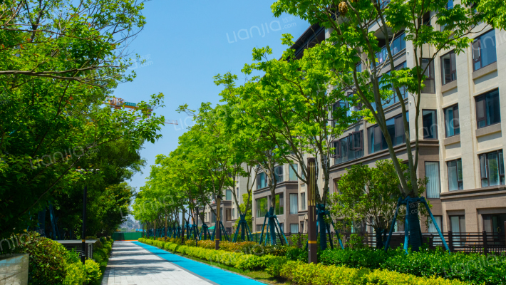 美的君兰悦外景图