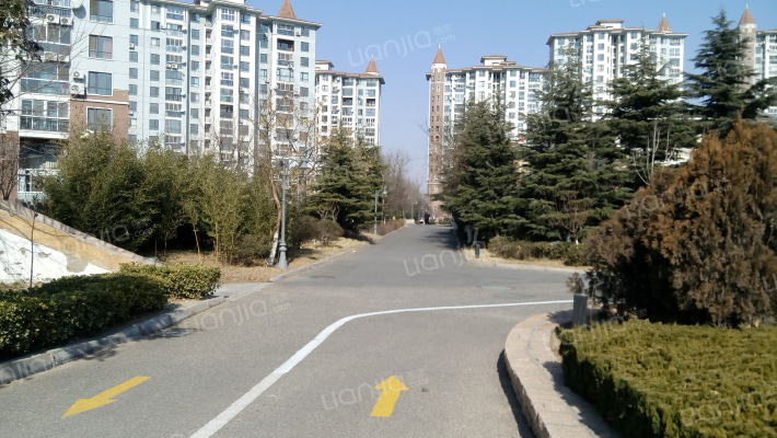 盛世美域外景图