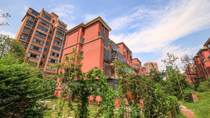 金涛御景花园外景图