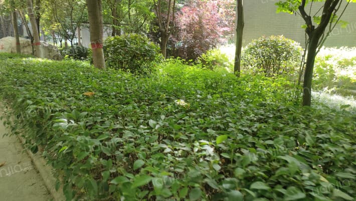 文景小区东区景园外景图