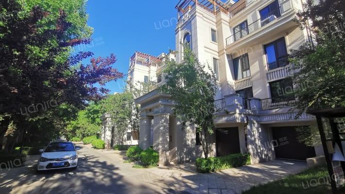 V7荷塘月色外景图