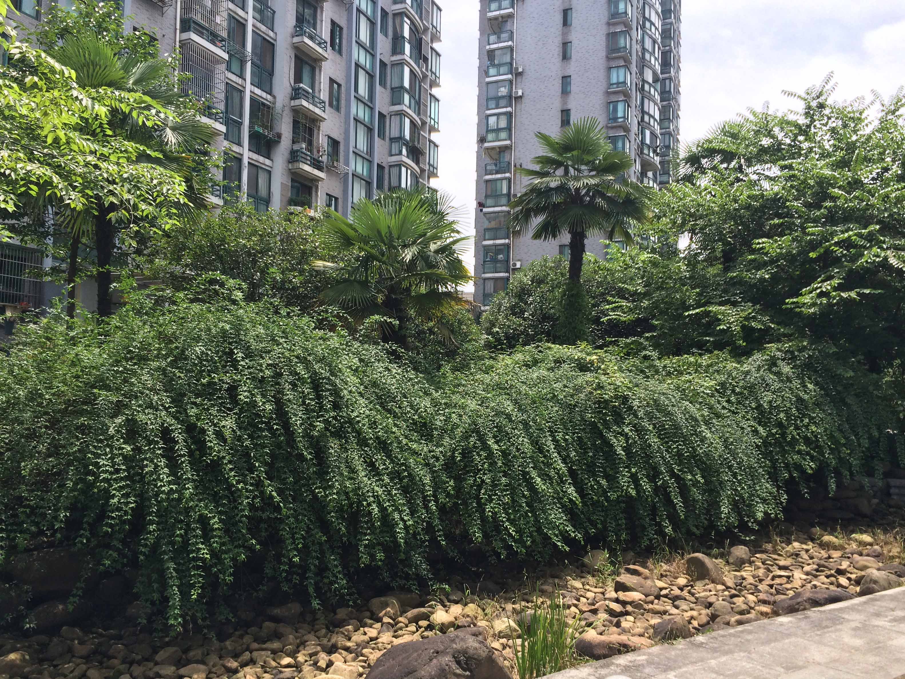 温馨人家小区实景 5