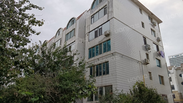 青松南里外景图