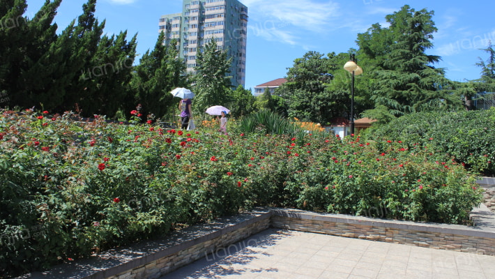 新华里2号外景图