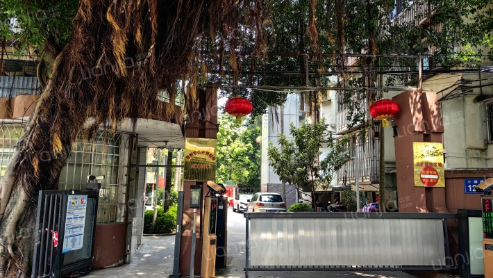 小柳路128号外景图