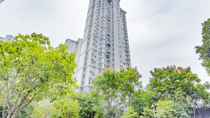 楚天都市金园外景图