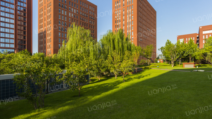 锋创科技园外景图