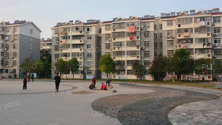 包河花园B区外景图