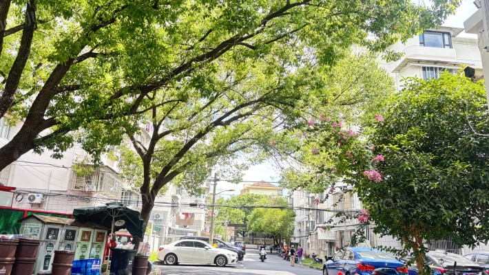 绿园十一村外景图