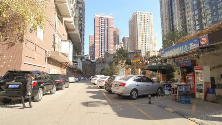 西雅图翡翠城外景图