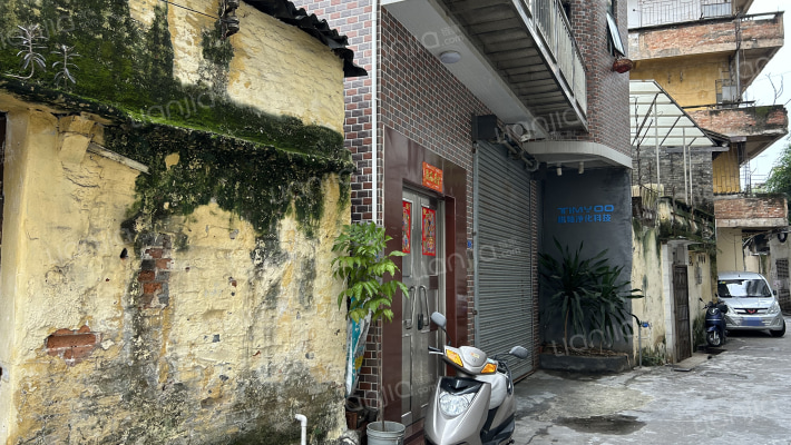 容桂单家东风社区外景图