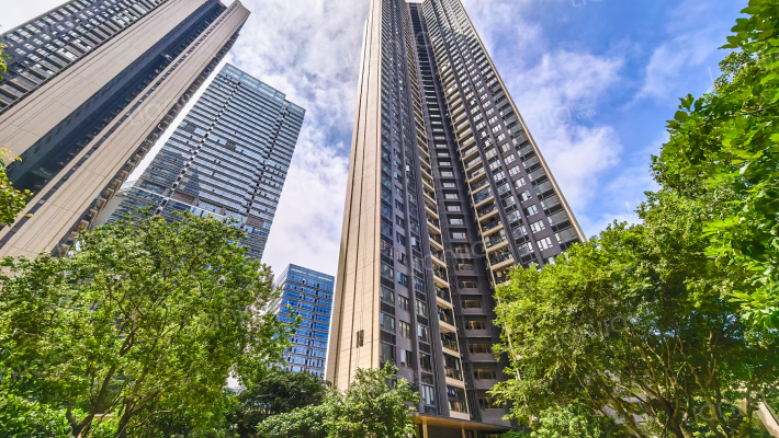 中海汇德理外景图