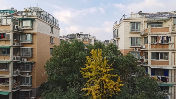 都市知音外景图