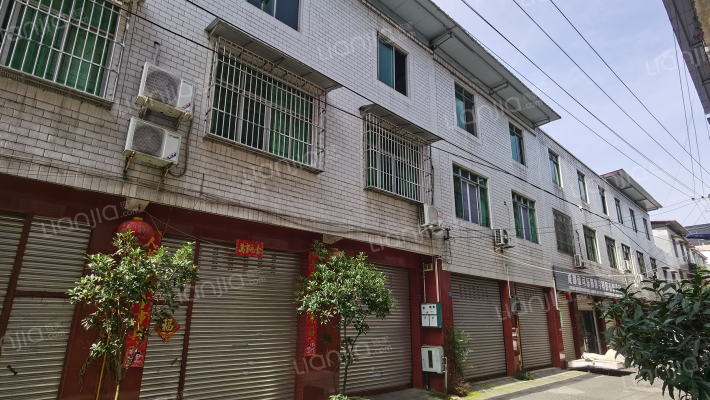 东湖西二巷外景图