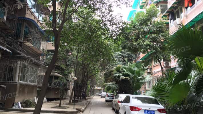 前锋小区外景图