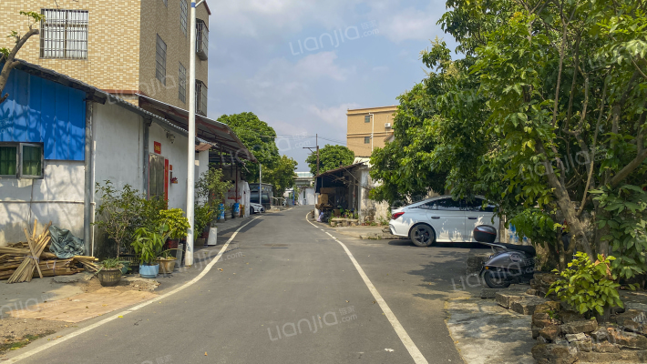 曲涌上街外景图