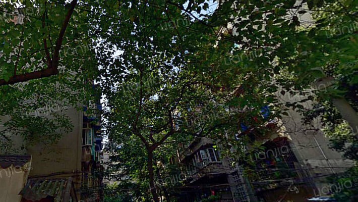 石笋街5号外景图