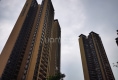 保利时光印象(鼎湖区)户型图实景图