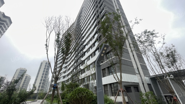 碧桂园星荟时代一期外景图