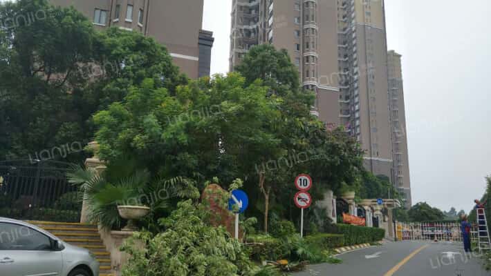 花样年君山外景图