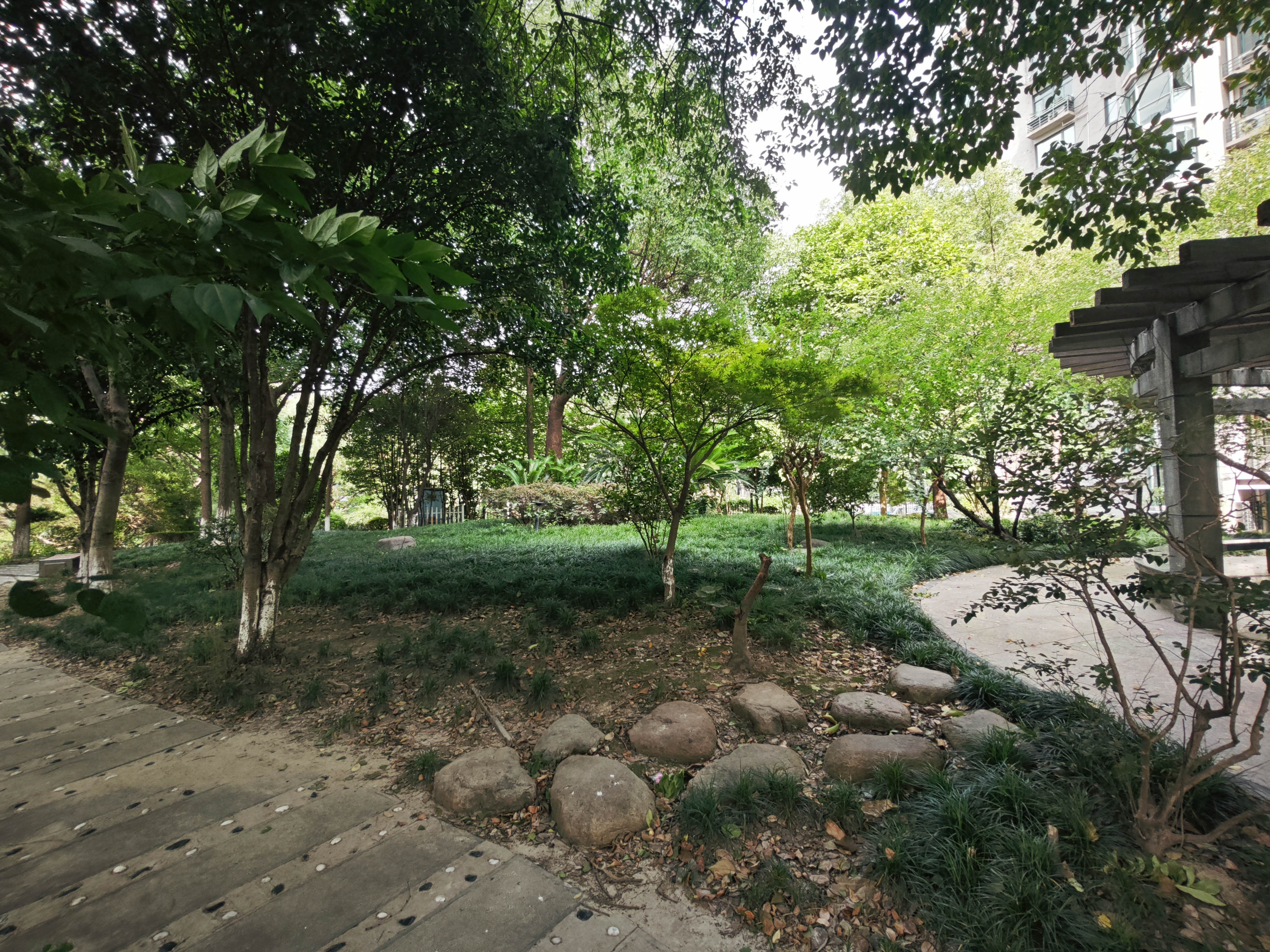 浅水湾城市花园小区实景 30