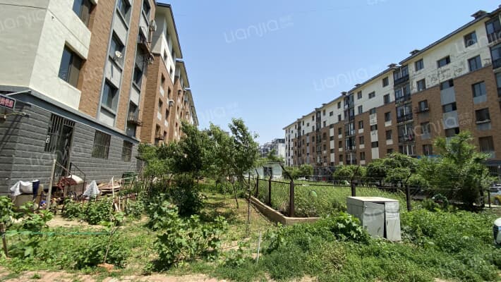 绿茵湖畔外景图