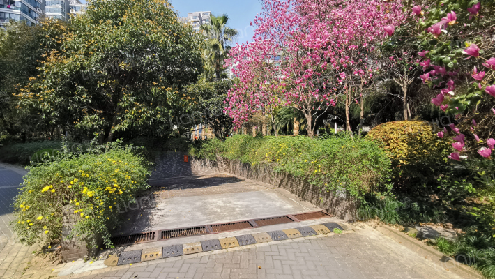 大华清水湾外景图