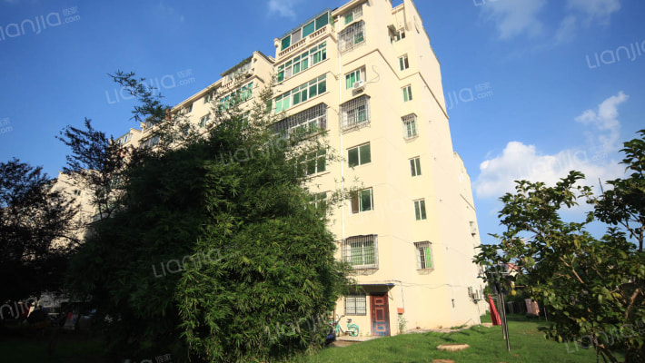 竹林花园外景图