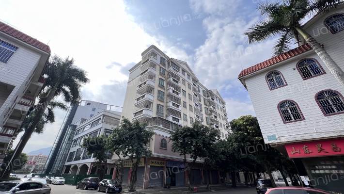 西樵轻纺城外景图