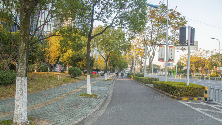 新洲银座外景图