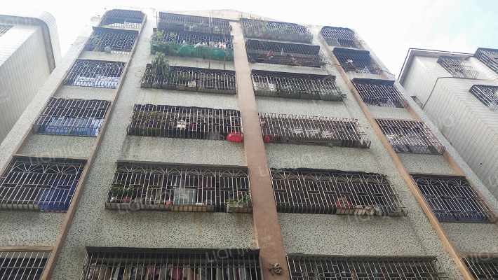 明珠大楼外景图